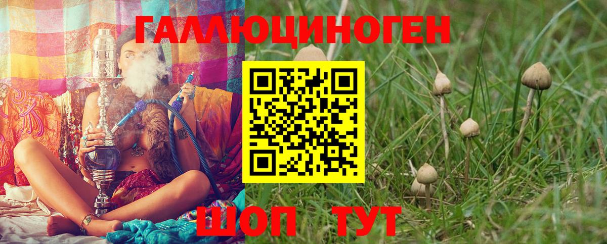 Псилоцибиновые грибы Magic Shrooms Гусь-Хрустальный